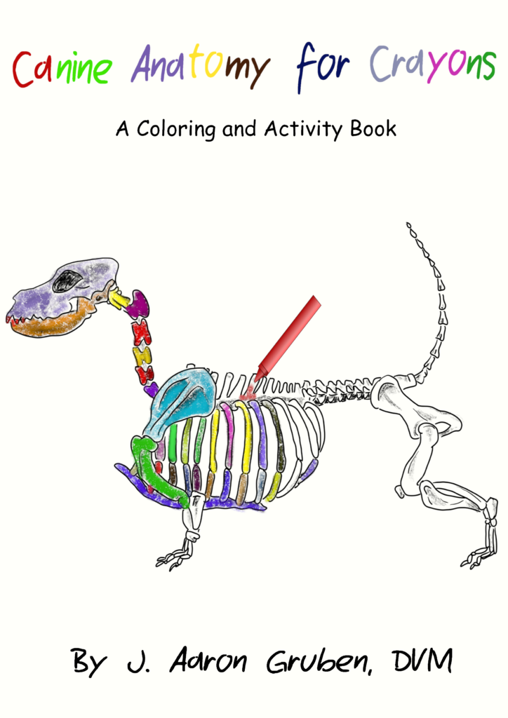 New Veterinary Anatomy Coloring Books Available! - J. Aaron Gruben